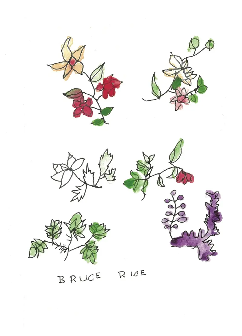 Botanical Flower Zine Illustration By Bruce Rice 1