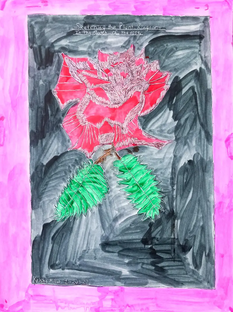 Botanical Sketch Series: Rose Study By Keisha Miller 1