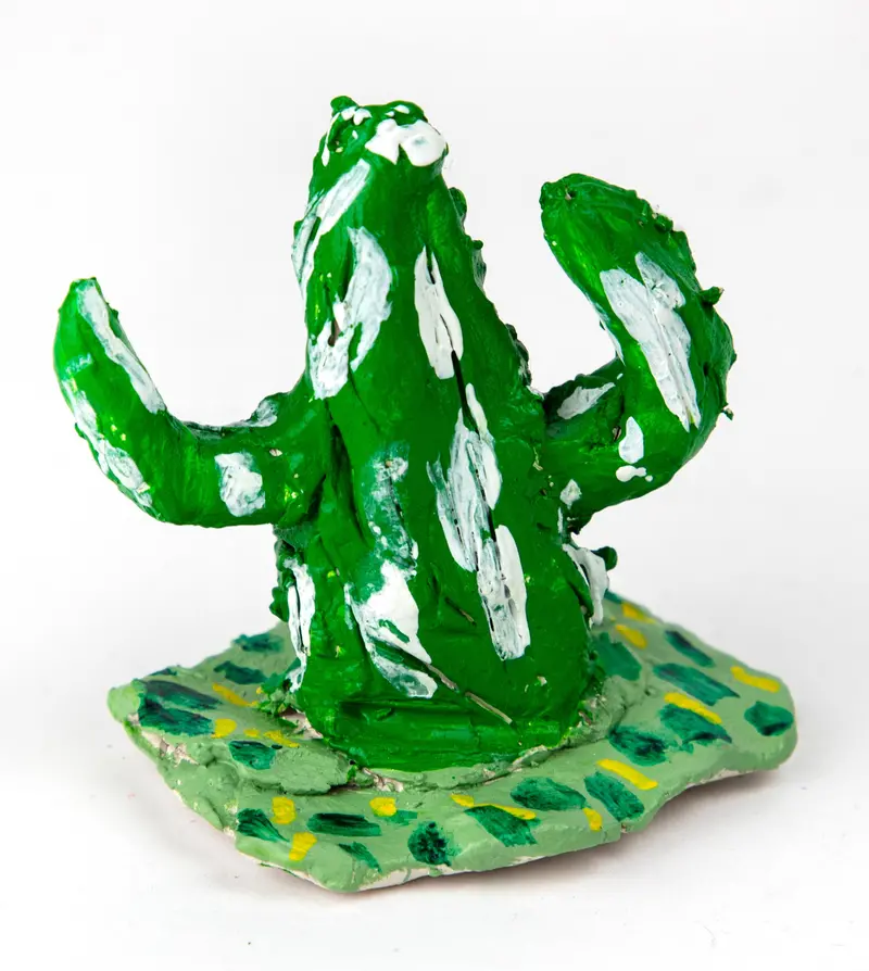 Cactus – Ryan Mcdonagh Botanical Art 1