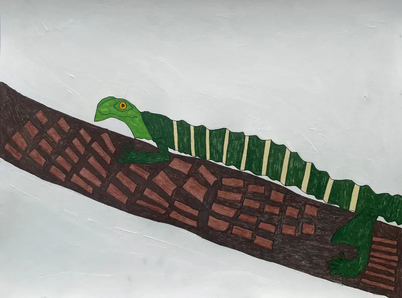 Detailed Lizard Art Study By Caleb Brazill 1