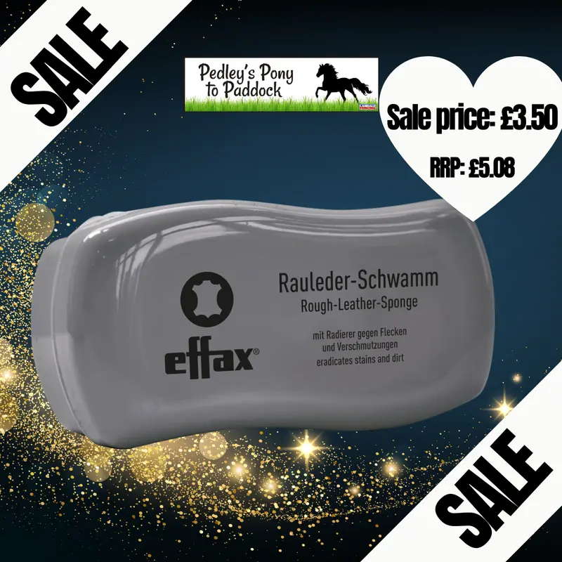 Effax Rough Leather Cleaning Sponge 1