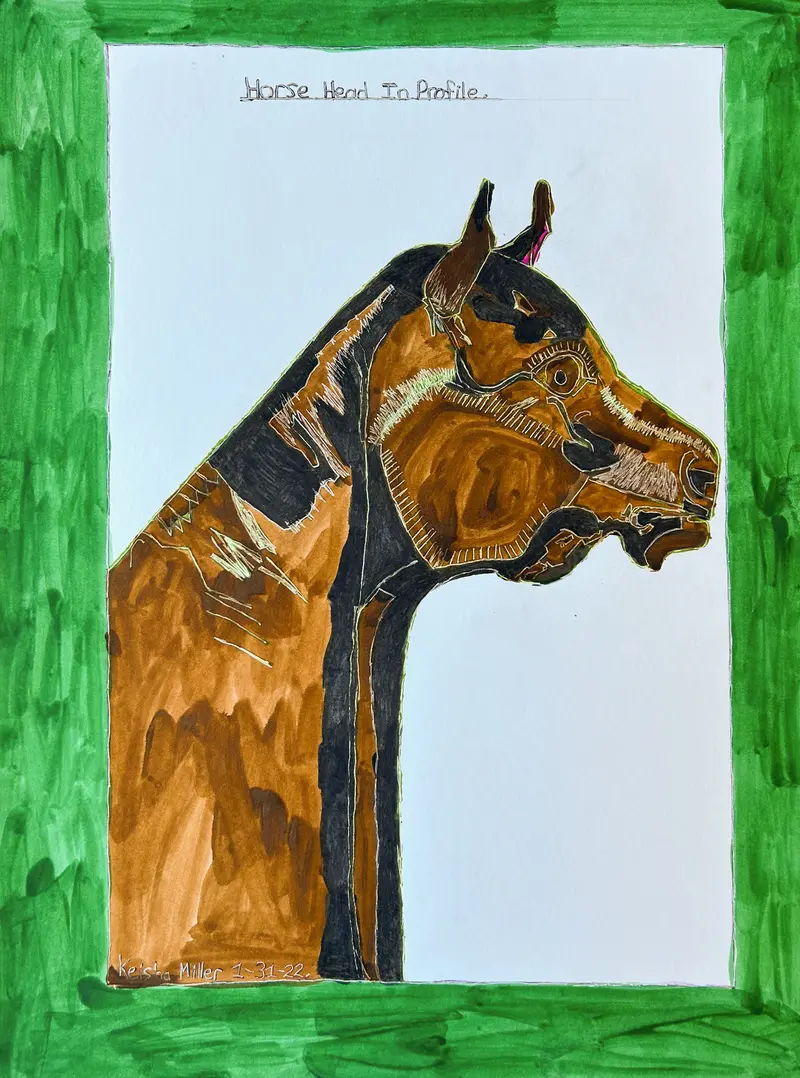 Elegant Horse Head Profile Drawing By Keisha Miller 1