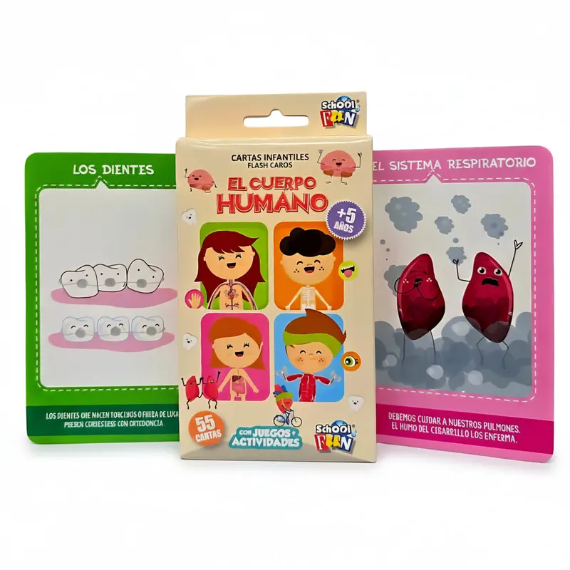 Human Body Flash Cards – Bilingual Educational Learning Cards 1