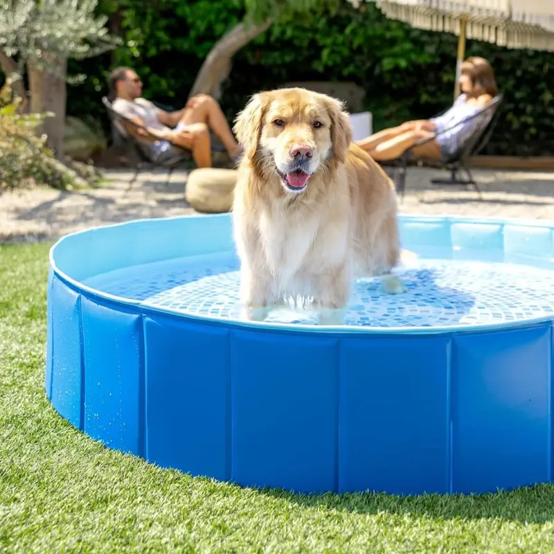 Intex Paws Foldable Portable Pet Pool – 60-Inch By 12-Inch 1
