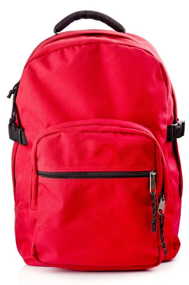 Pivot Compact Black Backpack 1