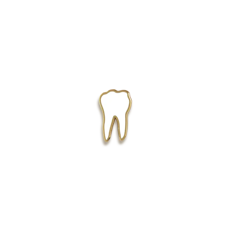Tooth Anatomy Minimalist Enamel Pin – V Coterie 1